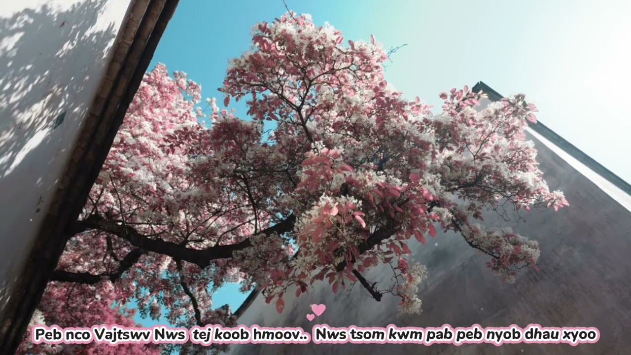 KARAOKE TSIAB 30 // Niam Tshuav Num nkauj xyoo tshiab 2026