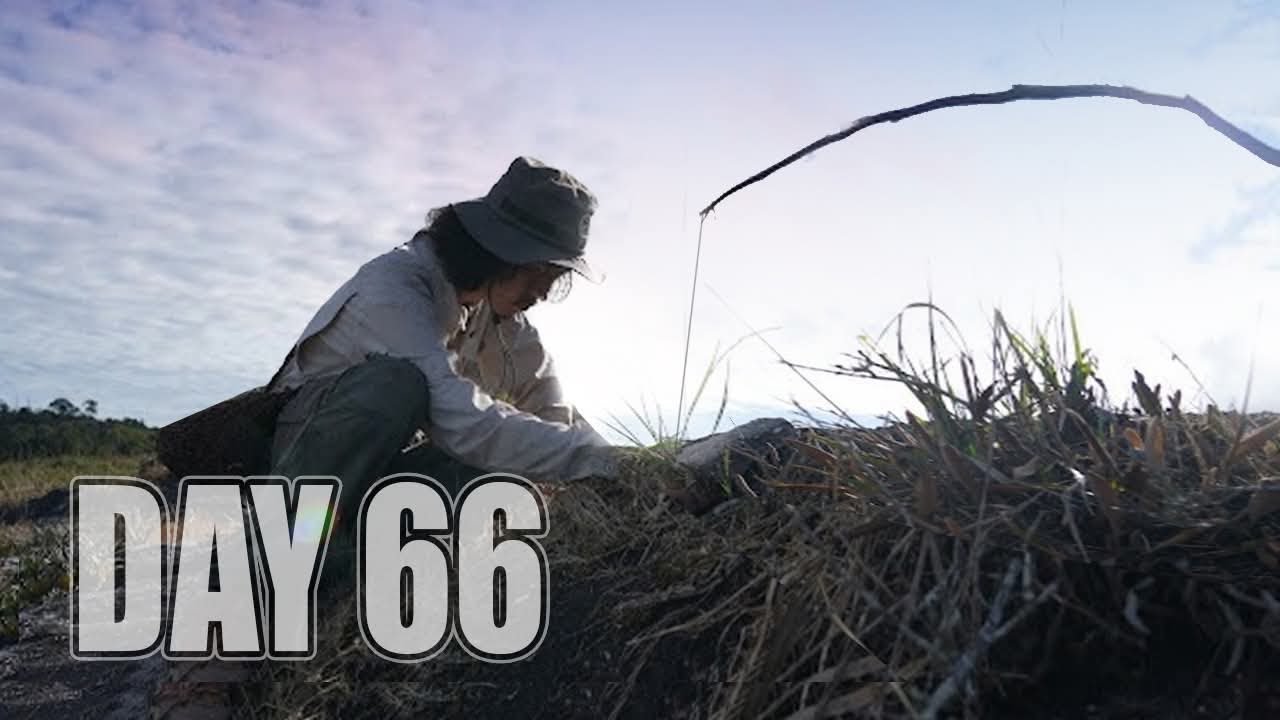 เอาชีวิตรอด DAY 66  ผลไม้ป่าจากธรรมชาติ  การเติมน้ำให้กับร่างกาย …!! [  โจโฉ ]