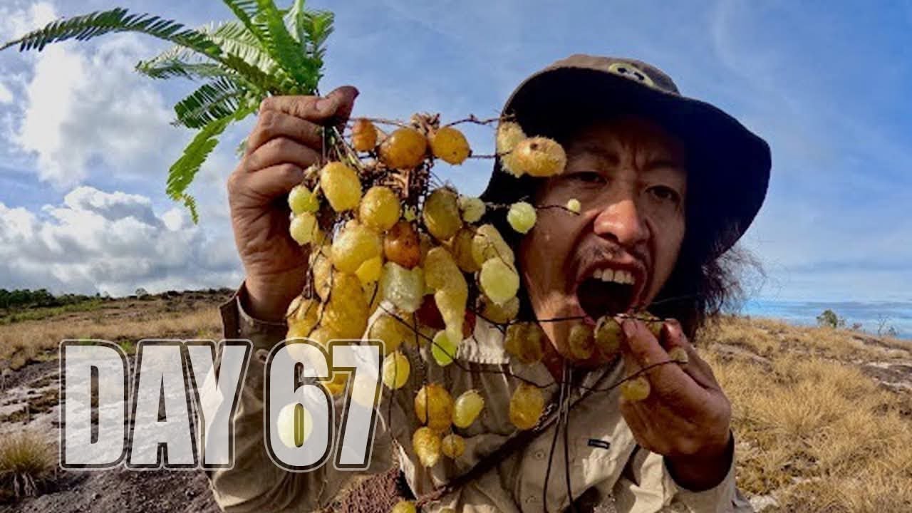 เอาชีวิตรอด DAY 67  ผลไม้ในพื้นที่แห้งแล้งหลังเขา  …!! [ โจโฉ ]