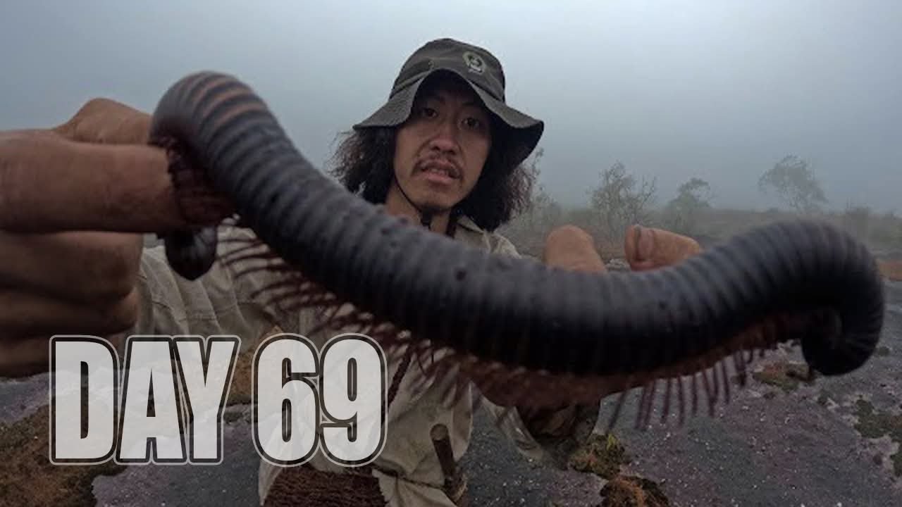 เอาชีวิตรอด DAY 69  ออกสำรวจพื้นที่และหาอาหารท่ามกลางหมอกหนา  …!! [ โจโฉ ]