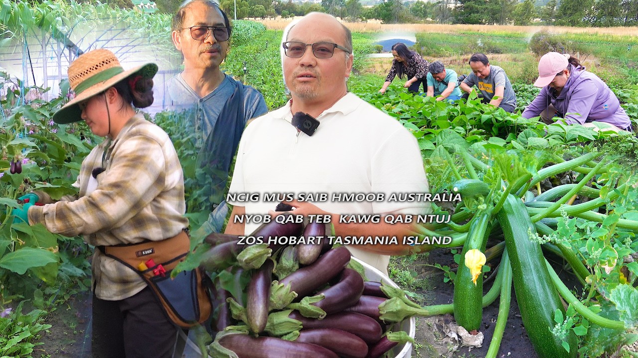 HMOOB UA TEB KEV KHWV NYOB ZOS HOBART TASMANIA AUSTRALIA 3/ 2026