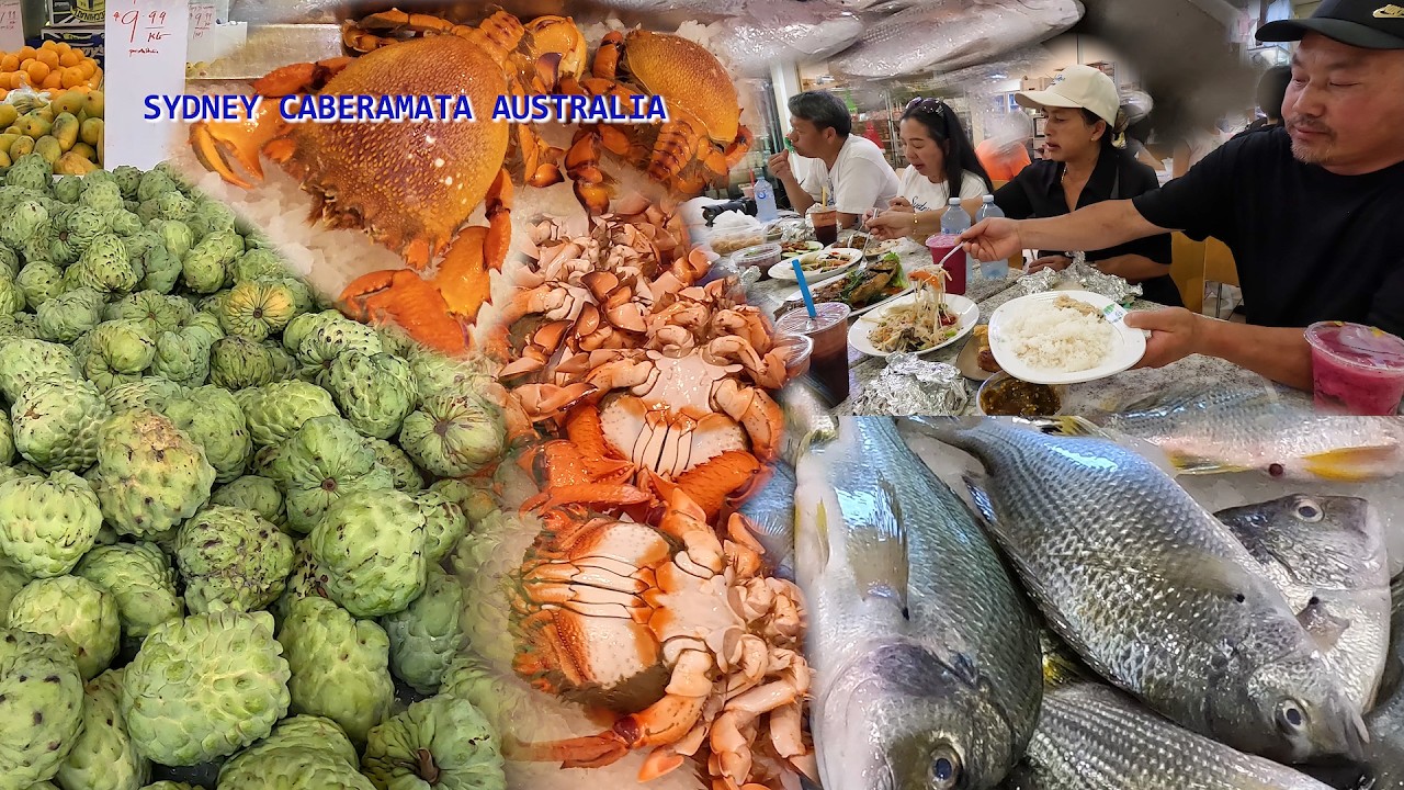 NCIG KIAB KHW NYOB SYDNEY CABERAMATA AUSTRLIA 3/07/2026