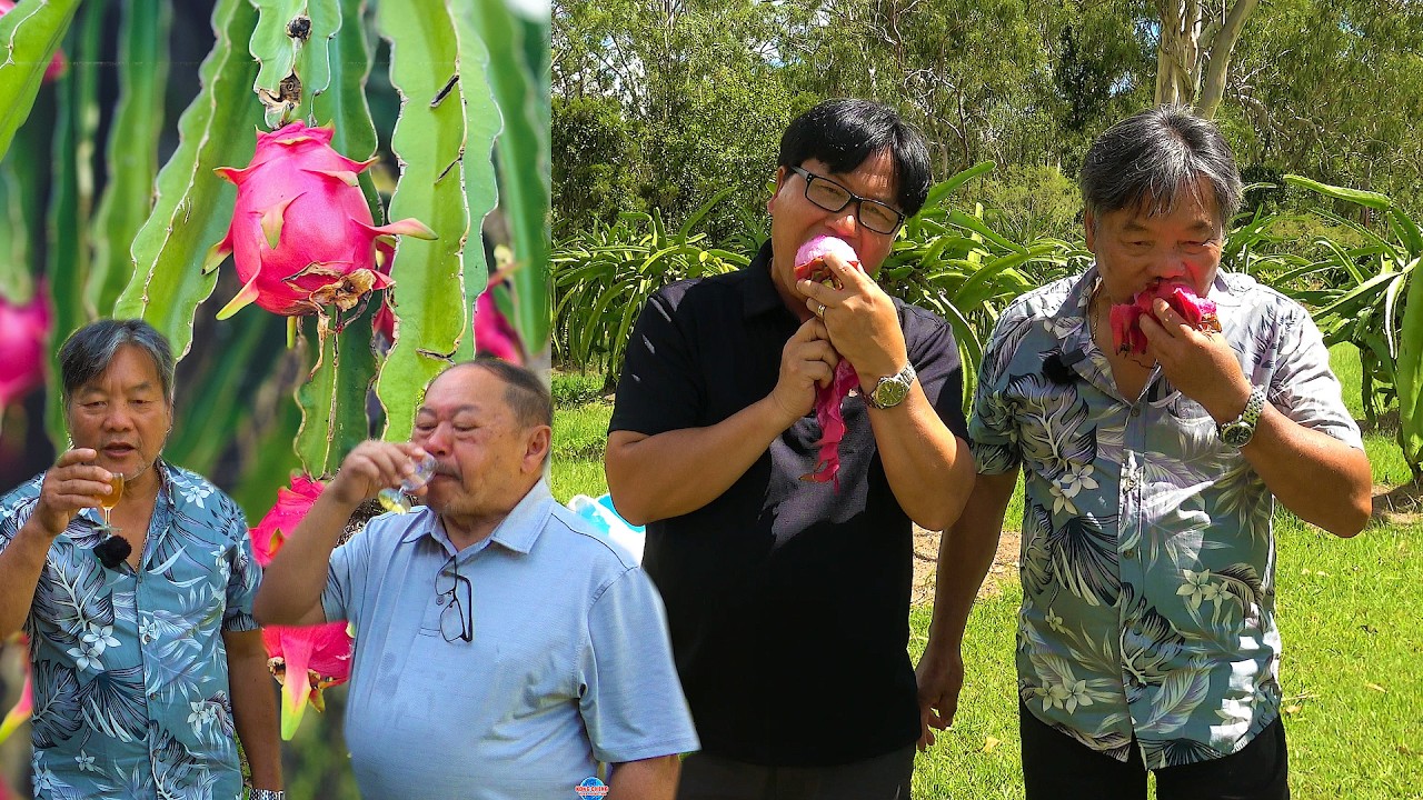 NCIG MUS SAIB KWV TIJ HMOOB ZOS BRISBANE KEV COG TXIV NPLAIS ZAJ KEV  KHWV AUSTRALIA 3/11/2026