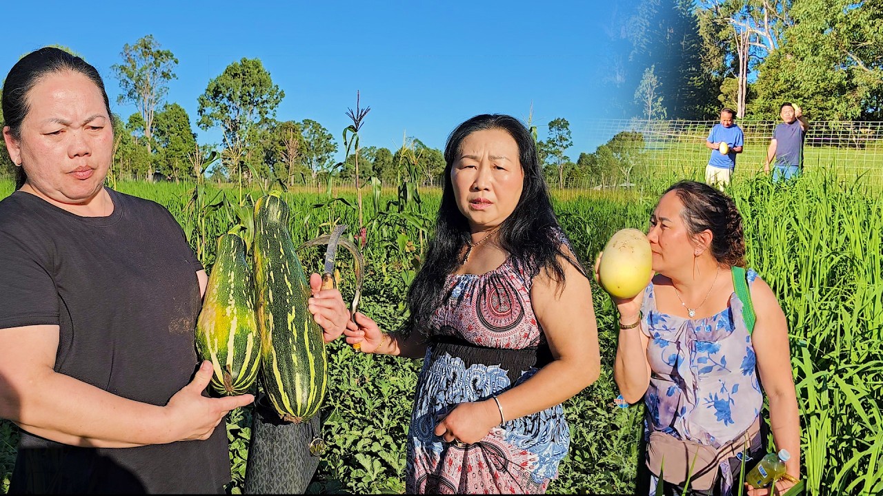 NCIG SAIB HMOOB BRISBANE LUB NEEJ NOJ NYOB KEV KHWV  3/11/2026