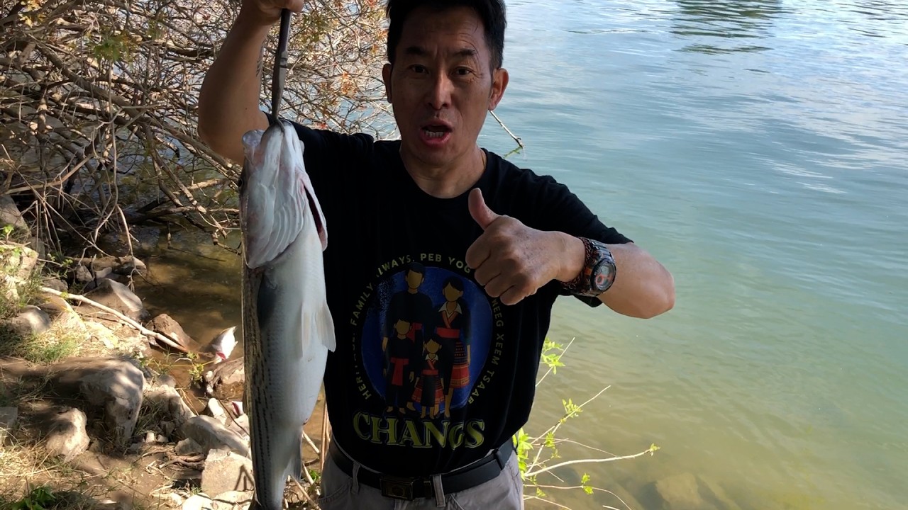 Striper fishing in Sacramento river 3 25 26