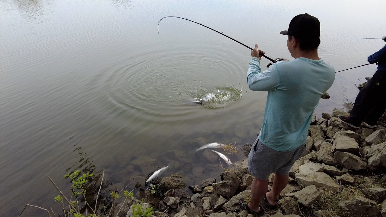 Striper fishing in Sacramento river 3 27 26