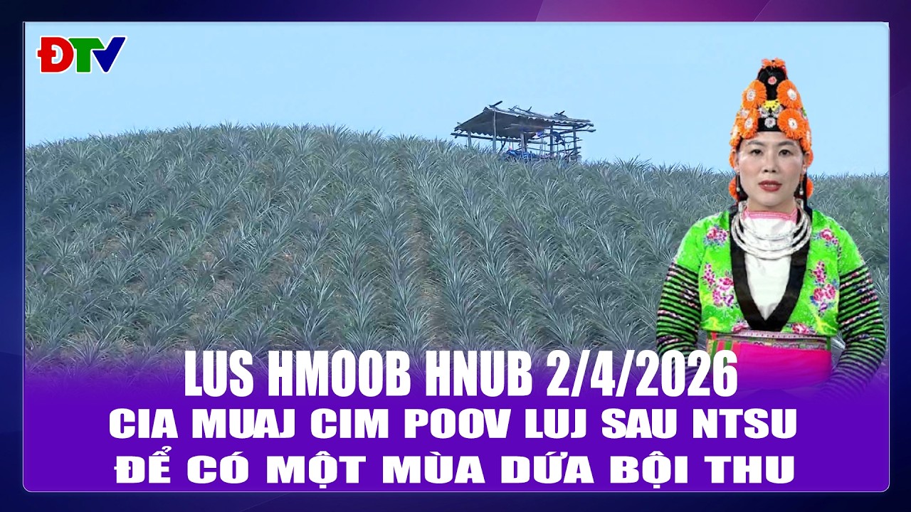 Cia muaj cim poov luj sau ntsu | Xov tooj cua lus Hmoob Dien Bien  22026 | Điện Biên TV