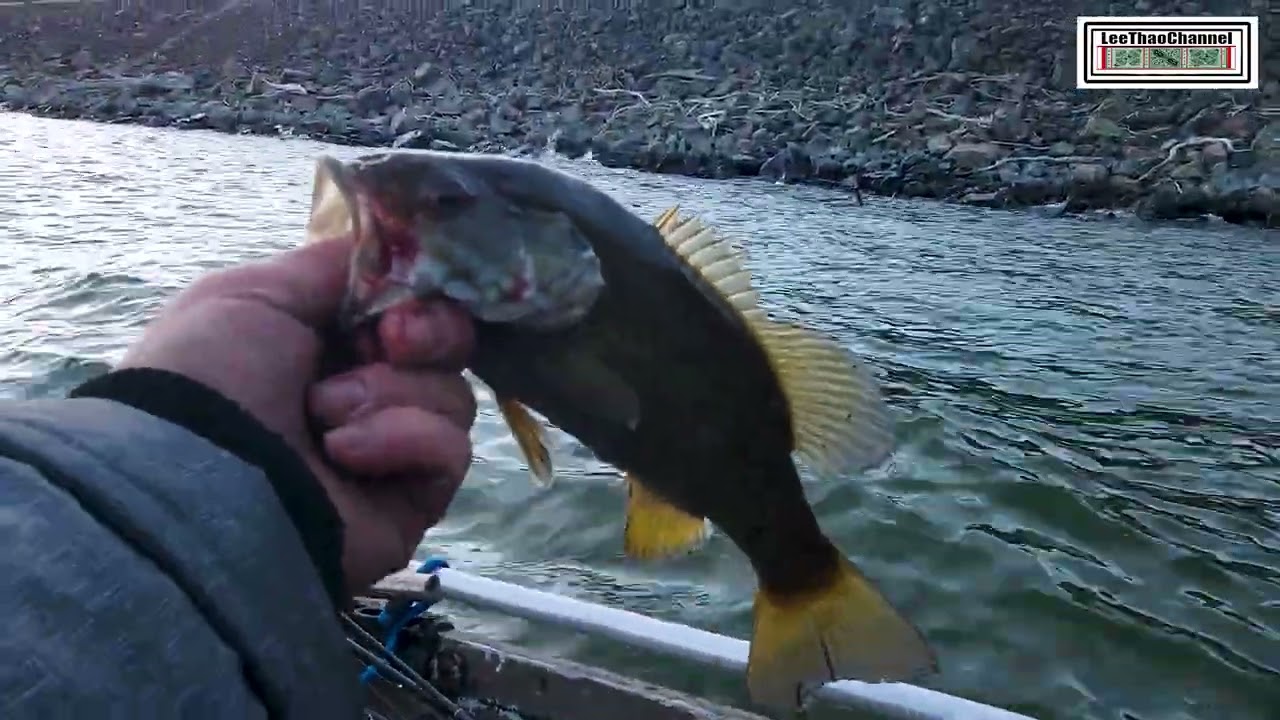 Indian Valley Reservoir Dam 4/3/2026 Fishing Report