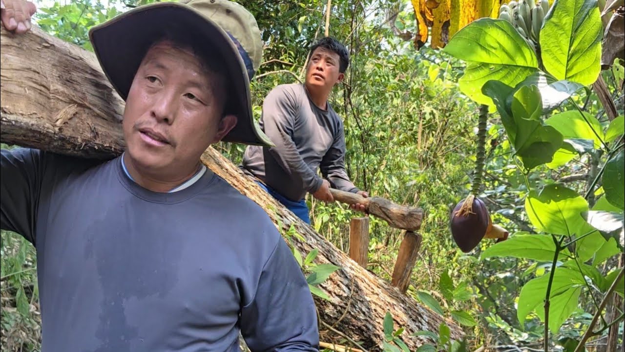 Khuv Xim Tshaj Tsis Tau Zov Nas.