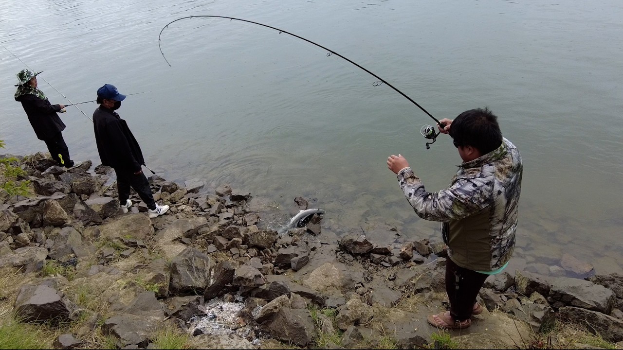Striper fishing in Sacramento river 4. 10. 26