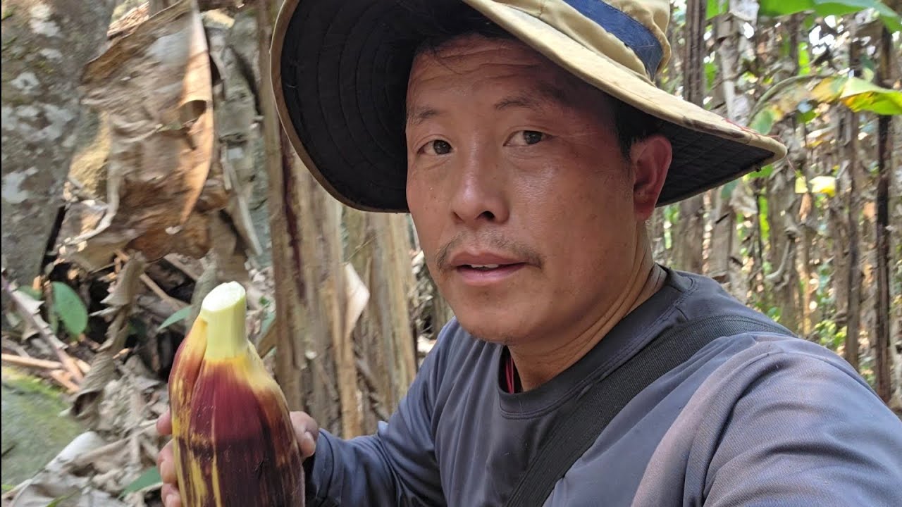 Tuaj Pib Yam No Dua.