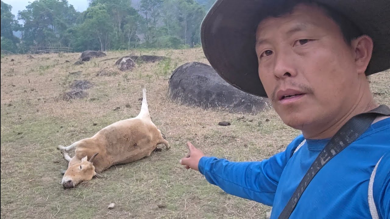 Vim Lub Ntuj No Xwb.