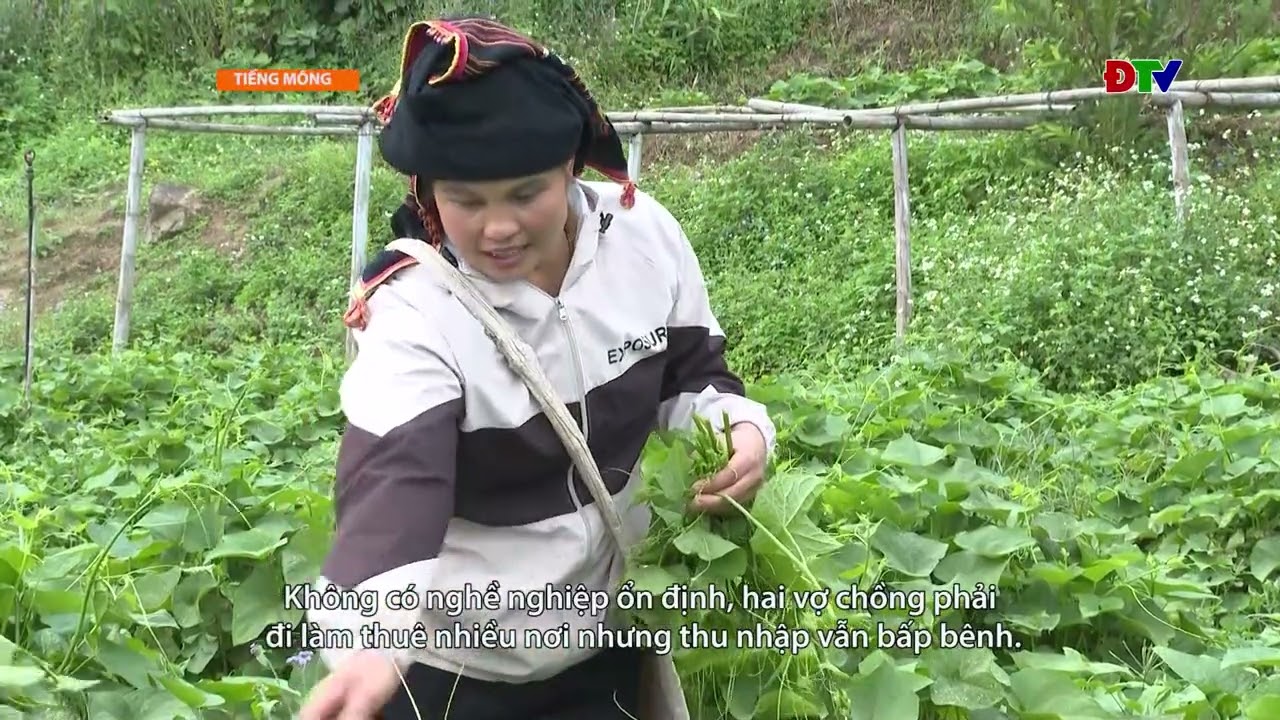 ĐIỆN BIÊN – Xov tooj cua lus Hmoob Dien Bien (Hnub 14-05-2026) |  Điện Biên TV