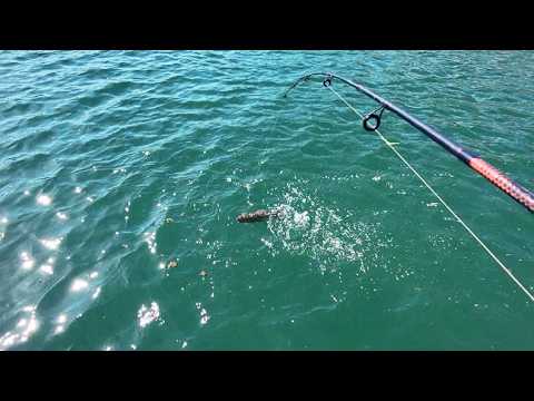 Trolling for Crappies