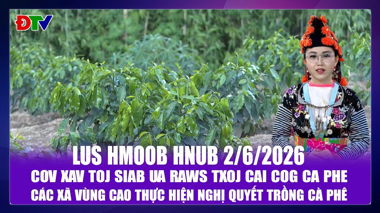 Cov xav toj siab ua raws txoj cai cog ca phe | Xov tooj cua lus  Hmoob Dien Bien 2-6-2026