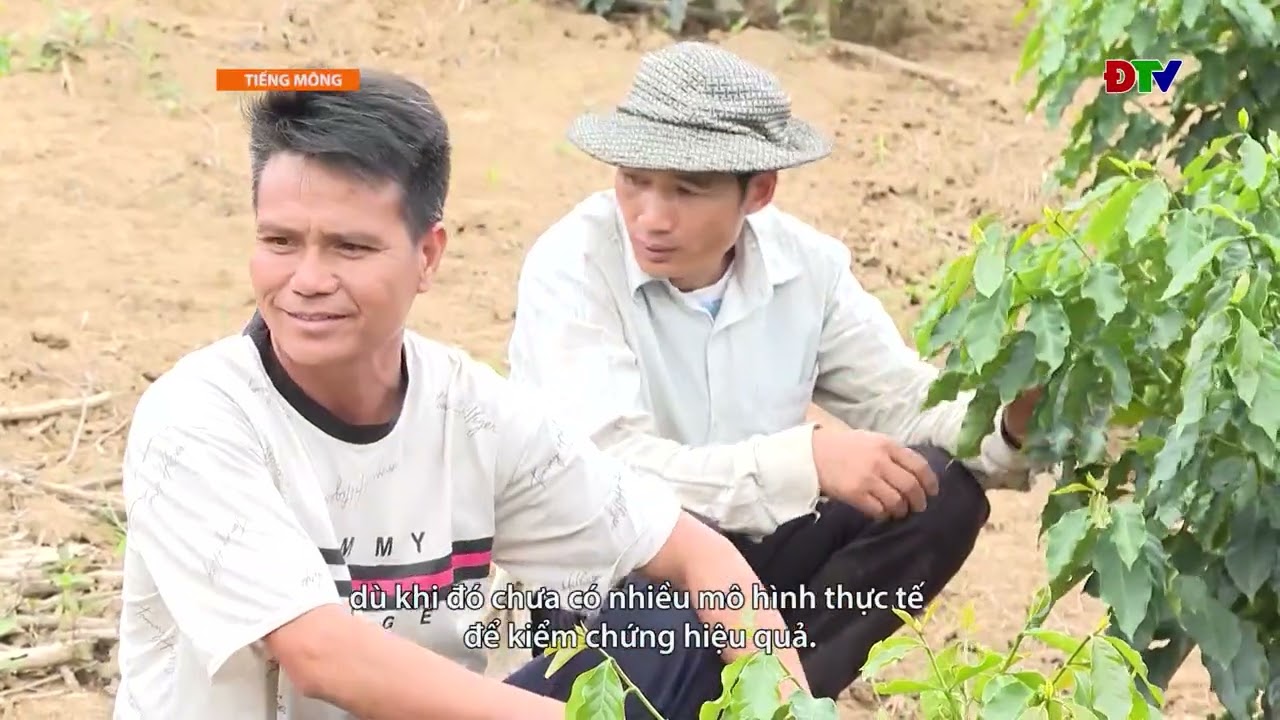 ĐIỆN BIÊN – Xov tooj cua lus Hmoob Dien Bien (Hnub 30-06-2026) |  Điện Biên TV