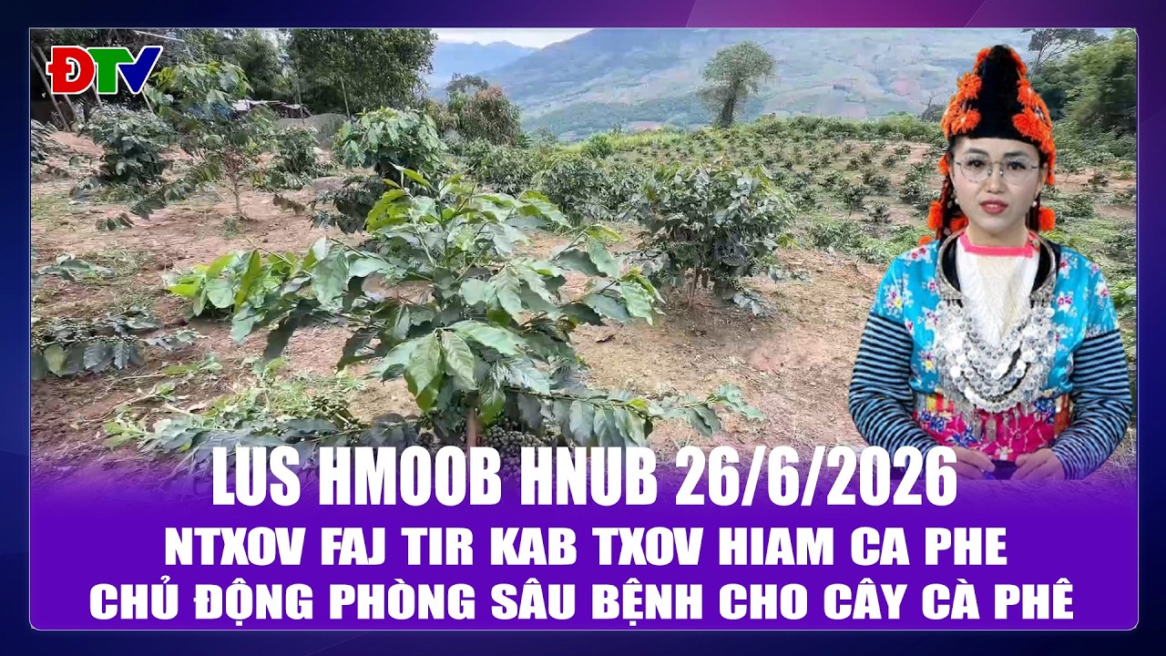 Ntxov faj tir kab txov hiam ca phe | Xov tooj cua lus Hmoob Dien  Bien 26-06-2026 | Điện Biên TV
