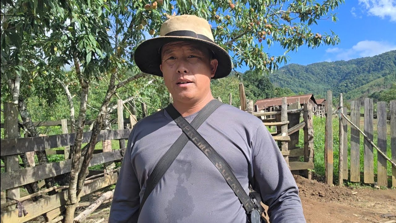 Tham Ntau Tau Kua Haus.