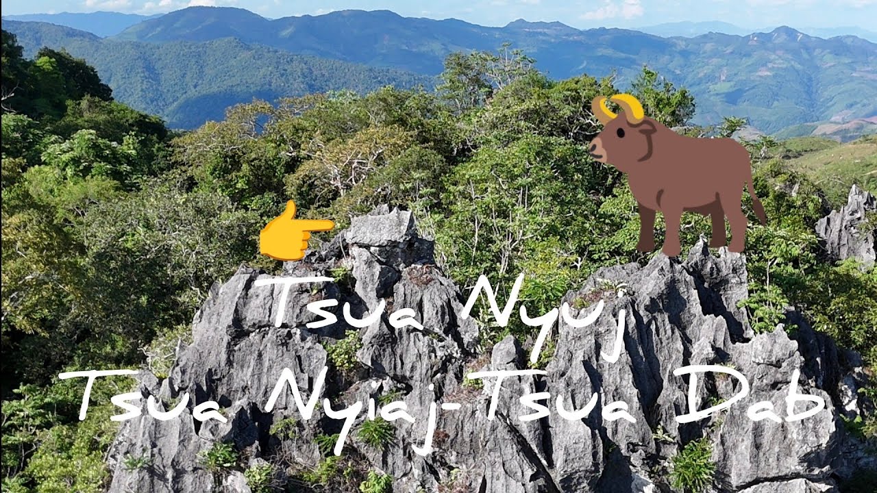 Tsua Nyuj-Tsua Nyiaj-Tsua Dab.