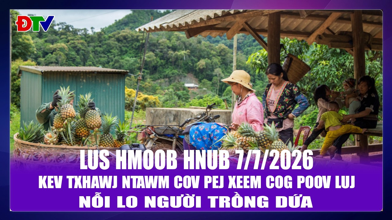 Kev txhawj ntawm cov pej xeem cog poov luj | Xov tooj cua lus Hmoob  Dien Bien 7-7-2026 |Điện Biên TV