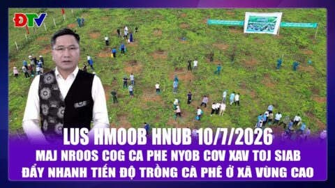 Maj nroos cog ca phe nyob cov xav toj siab | Xov tooj cua lus Hmoob Dien Bien 10-7-2026 | Điện Biên