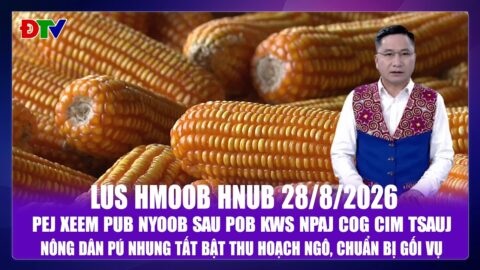 Pej xeem pub nyoob sau pob kws npaj cog cim tsauj | Xov tooj cua lus  Hmoob Dien Bien 28-8-2026