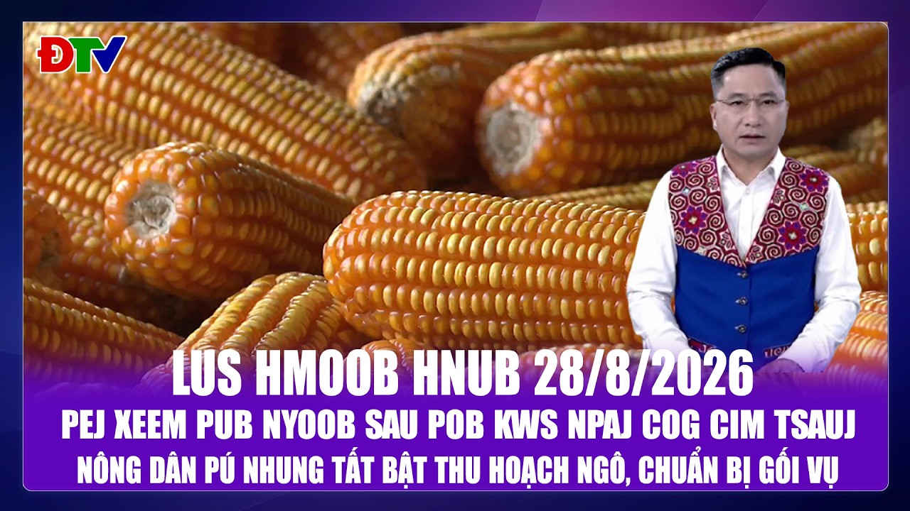Pej xeem pub nyoob sau pob kws npaj cog cim tsauj | Xov tooj cua lus  Hmoob Dien Bien 28-8-2026