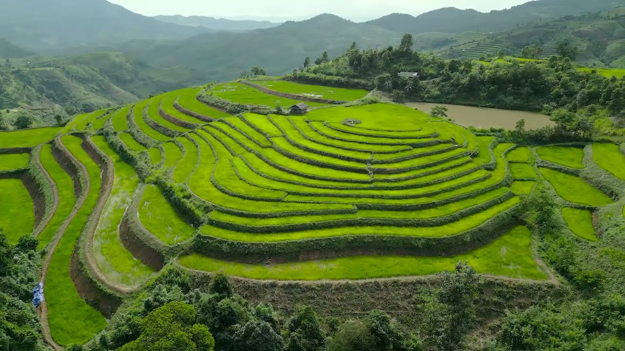 Pu Nhi 2026 – ( Ruộng Bậc Thang Pu Nhi )