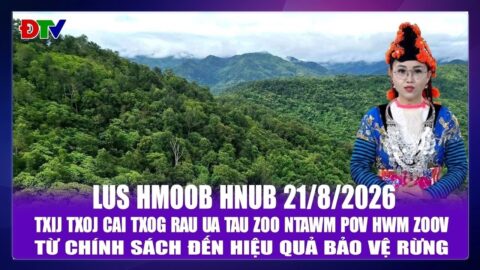 Txij txoj cai txog rau ua tau zoo ntawm pov hwm zoov | Xov tooj cua  lus Hmoob Dien Bien