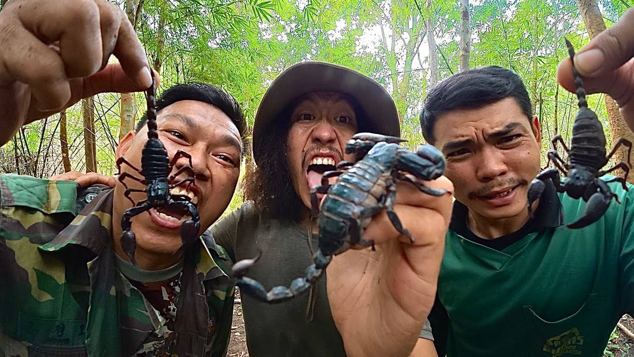 ล่าแมงป่องช้าง