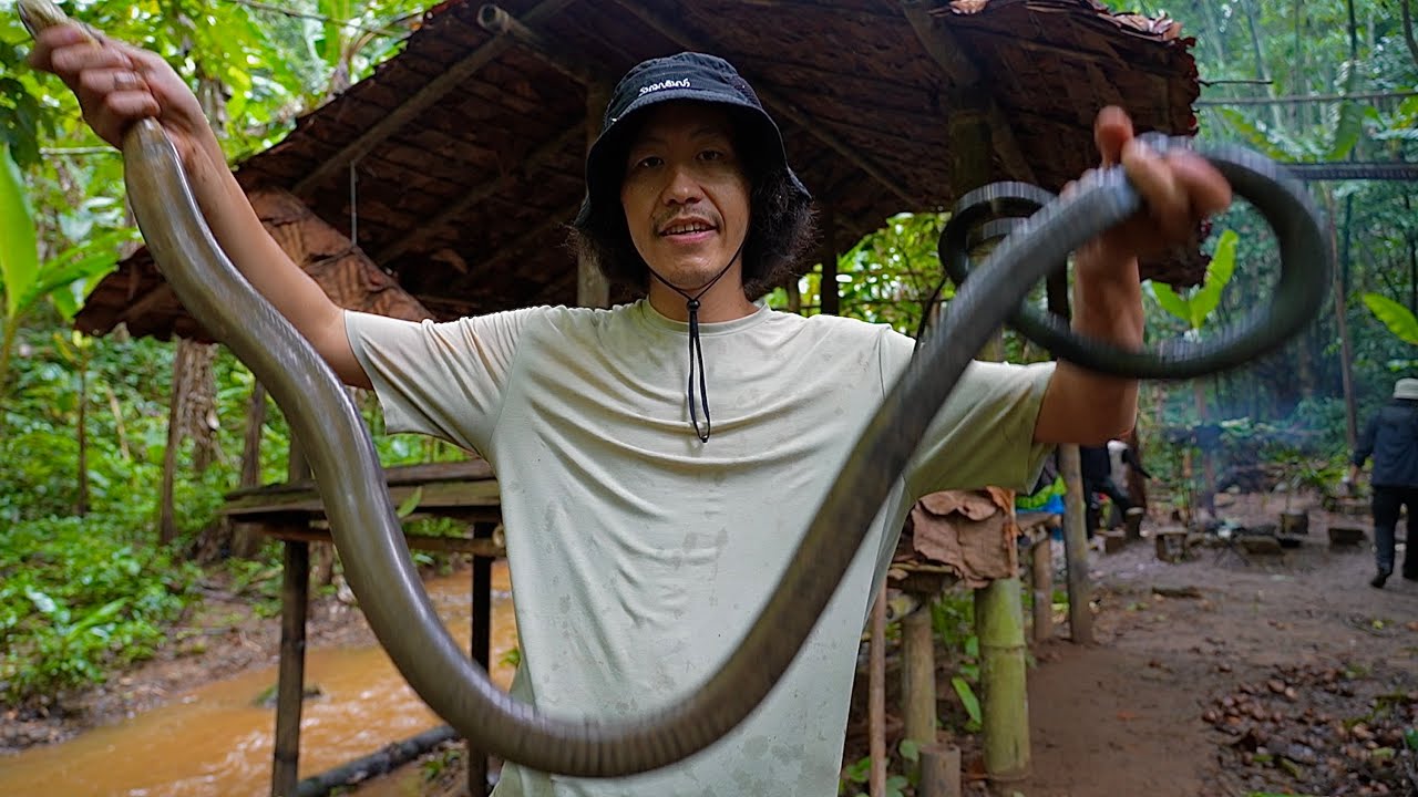 เดินป่าฤดูฝนกับพี่อู๋  ZELFUR !! การไล่จับงูจงอางป่า…[  โจโฉ ]