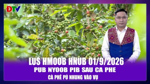 Pub Nyoob pib sau ca phe  | Xov tooj cua lus Hmoob Dien Bien  01-92026 | Điện Biên TV