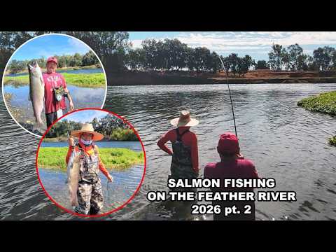 SALMON FISHING on the Feather River 2026 Part 2