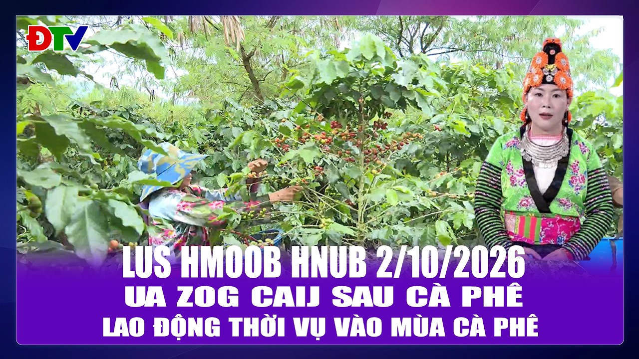 Ua zog caij sau cà phê |Xov tooj cua lus Hmoob Dien Bien 2-10-2026  | Điện Biên TV